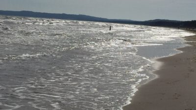 Die heilende Umarmung des Meeres – und das Geheimnis deiner Zellen