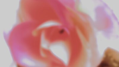 Auch Frauen kacken keine Rosen mehr